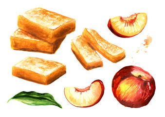 Homemade Peach fruit marmalade, jam, jelly set. Hand drawn watercolor illustration  isolated on white background