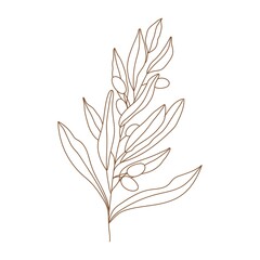 Olive branch with leaves and fruits illustration. Minimalist vector illustration for posters, cards, logo, printing on t-shirt etc.