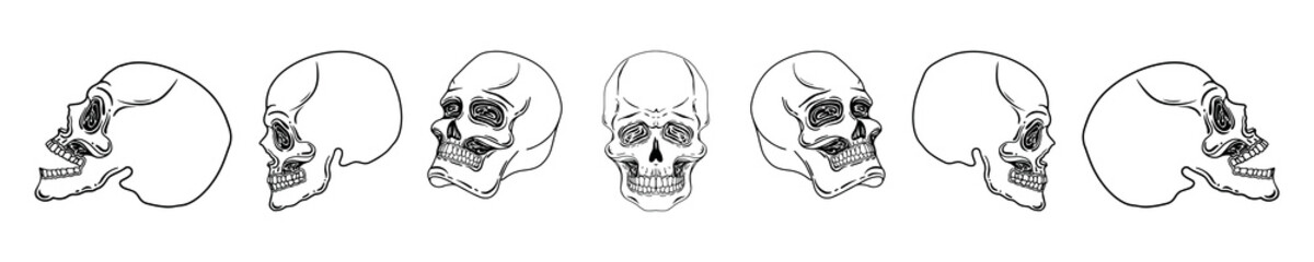 Set of hand drawn skulls in different positions. Vector skulls isolated on white background. Tattoo. Occultism, esoteric, spiritual design elements. Death. Mexico. Halloween.