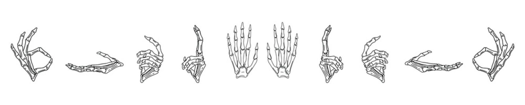 Set of hand drawn skeleton hands in different positions. Vector phalanx bone hands isolated on white background. Tattoo. Occultism, esoteric, spiritual design elements. Death. Mexico. Halloween.