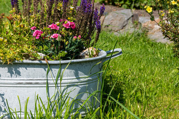 an old zinc tub with flowers
