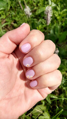 Manicure gel polish on short nails, lilac manicure with daisies - summer design