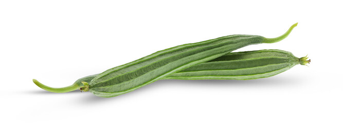 fresh luffa acutangula,angled loofah  isolated on white background