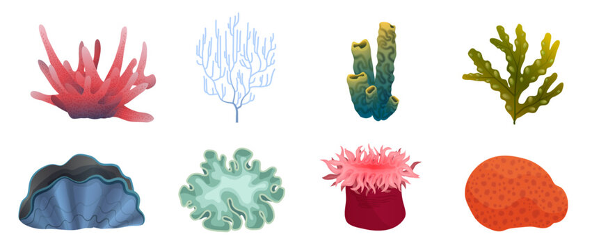 Underwater exotic plants and marine animals set from deep sea bottom or aquarium vector illustration. Cartoon seaweed and coral reef collection isolated white. Undersea life, tropical nature concept