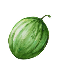 Watermelon, watercolor illustration, hand drawing. Watermelon single element isolated on white background, sketch.