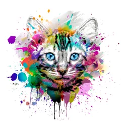 Keuken spatwand met foto abstract colorful cat muzzle illustration, graphic design concept © reznik_val