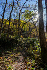 紅葉真っ盛りの白山国立公園・蛇谷自然観察園