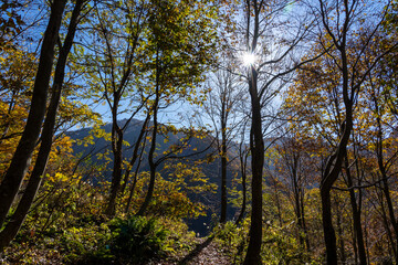 紅葉真っ盛りの白山国立公園・蛇谷自然観察園