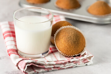 Freshly Baked Homemade Muffins and a Glass of Milk on Napkin Tasty Sweet Breakfast Homemade Cakes Horizontal