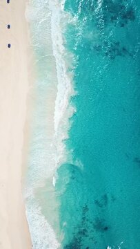 white sand beach and blue ocean. green plam trees by the seaside