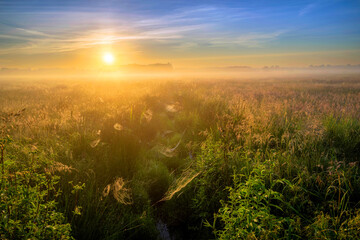 Beautiful foggy morning over the fields covered with spiders webs