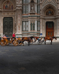 Fototapeta na wymiar horse drawn carriage in Florence