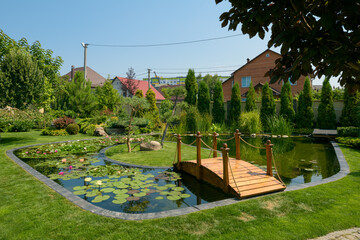 a pond with a wooden bridge and water lilies, pond in the garden