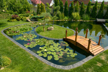 a pond with a wooden bridge and water lilies, pond in the garden