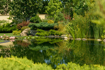 beautiful garden pond, pond in the garden