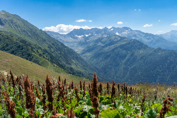 In Frankreich in der Auvergne-Rhone-Alpes