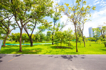 Empty green bike track in city public park