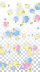 Vector Realistic Colorful Petals Falling on Transparent Background.  Spring Romantic Flowers Illustration. Flying Petals. Sakura Spa Design. Blossom Confetti. Design Elements for Wedding Decoration.