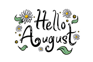Vector Hand drawn typography lettering phrase Hello August with Daisy. isolated on the white background. Fun calligraphy for typography greeting and invitation card. New Month Greeting Design Element