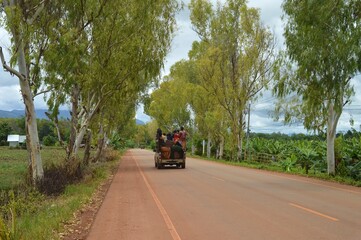 Obraz premium bus on the road in the countryside