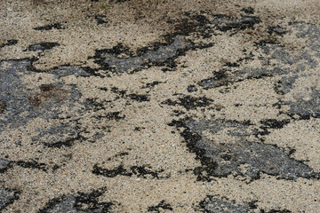 soil background