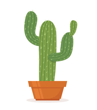 Cactus in pot vector. Cartoon of green cactus symbol isolated on white background