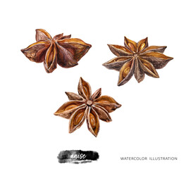 Anise stars hand drawn watercolor illustration isolated on white background