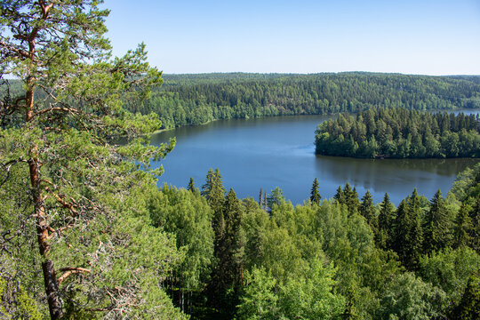 Aulanko Nature Preserve in H&auml;meenlinna, Finland showing the forest, Aulanko Lake, and "Spoon Cape" (Fin: Lusikkaniemi) between the lake on a clear, sunny summer day as seen from the observation deck.