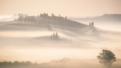 Mglisty wschód słońca val d orcia Toskania Włochy - obrazy, fototapety, plakaty
