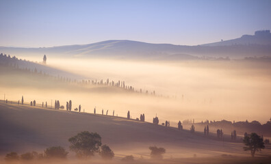 Naklejka premium Mglisty poranek w Val d'Orcia Toskania