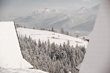 Zima góry Tatry Zakopane - obrazy, fototapety, plakaty