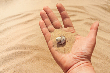 River shell on the women's hand, toned.	