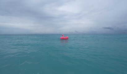 inflatable pink flamingo in the ocean