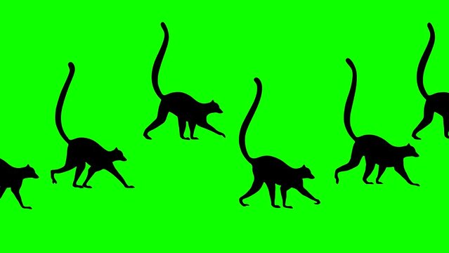 Walking lemurs, animation on the green background (seamless loop)