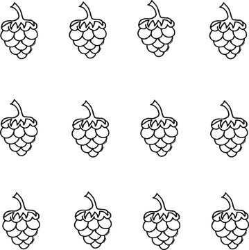 Seamless background with raspberry drawn with black marker on a white paper. Beautiful fruits background.
