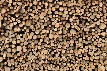 heap of wooden logs background