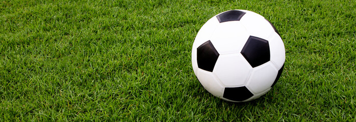 football on green grass , soccer field  banner style - Powered by Adobe