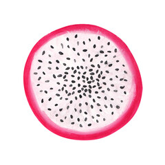 round cut dragon fruit hand drawn realistic drawing isolated on white
