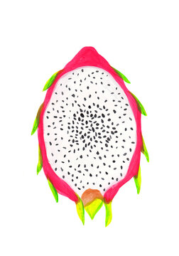half dragon fruit in pink peel drawing isolated on white. cut pitaya drawing hand drawn in gouache realistic style