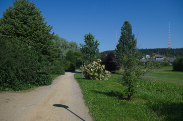path in the park