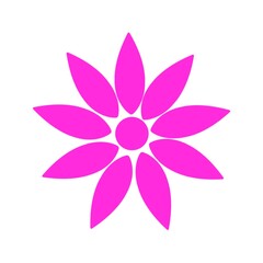 illustration of a flower colorful pattern 