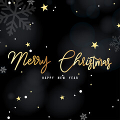 Merry Christmas calligraphy handwritten on background with Element in Christmas holiday , Flat Modern design , illustration Vector EPS 10