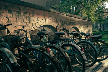 Old bikes together on the wall