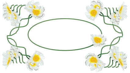 frame with flowers and butterflies