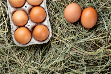 Paper tray with gray chicken eggs on a background of hay.