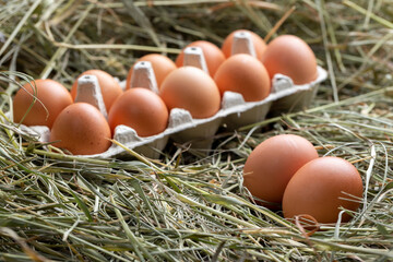 Paper tray with gray chicken eggs on a background of hay.