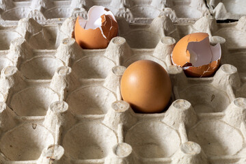 A whole egg and a broken eggshell rest in a cardboard egg carton.  The contrast highlights fragility and the cycle of life.