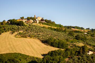 A view of Montegridolfo, an antique village in the Emilia-Romagna region of Italy. Cultivated...
