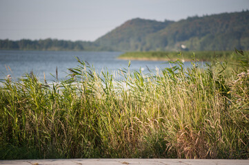Brzeg Zalewu Szczecińskiego, Polska © Robert
