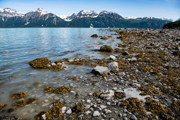 Naklejka premium Traumhaft schöne Küstenlandschaft in der Glacier Bay, Alaska